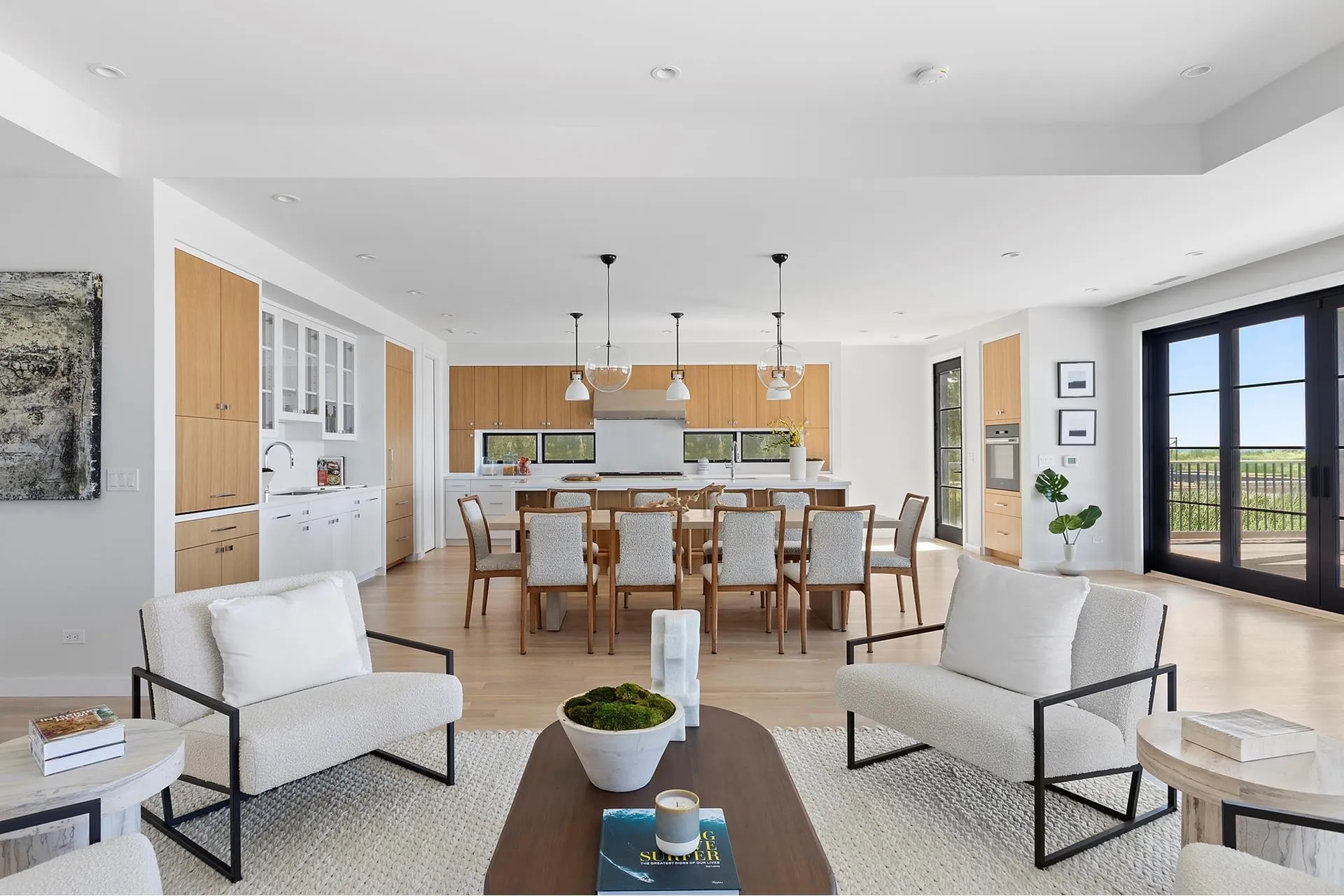 Contemporary open-plan living room and kitchen with black-framed windows